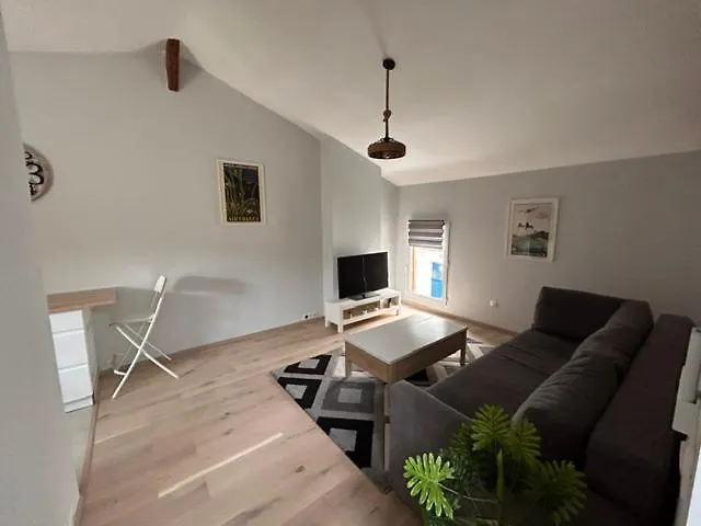 F1 Hyper Centre Apartment